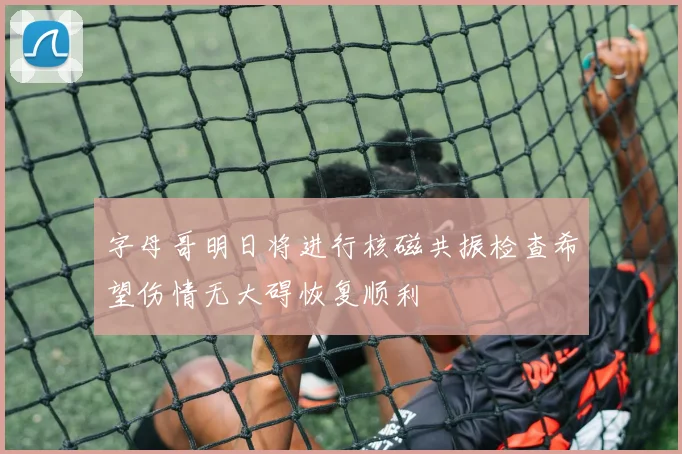 字母哥明日将进行核磁共振检查希望伤情无大碍恢复顺利